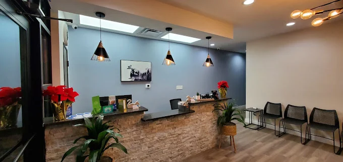 Bright and welcoming lobby inside our veterinary clinic in Boerne TX with front desk and seating