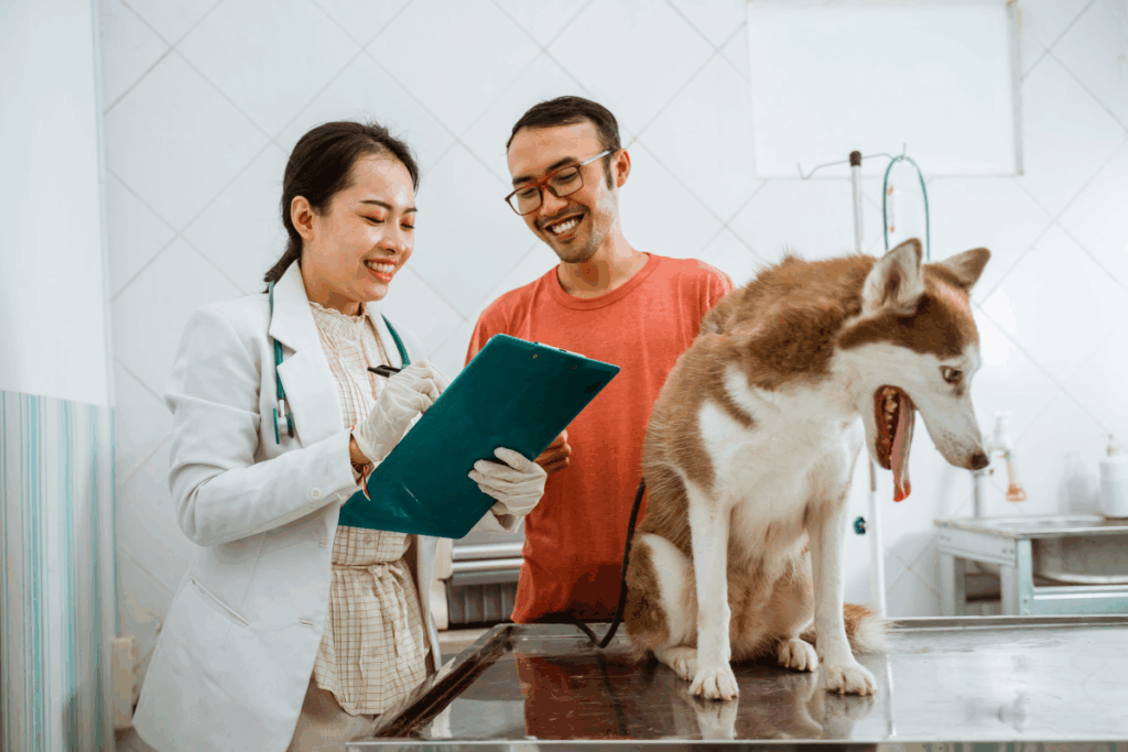 Veterinarian discussing results with a pet owner during internal medicine for dogs and cats care