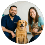 Veterinarian in Boerne, TX with a veterinary team and their canine patients