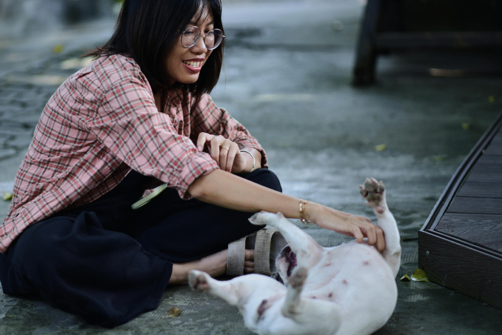 Dog receiving affection from an owner as part of dog enrichment to support emotional well-being and bonding