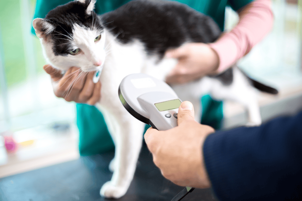 Give your dog or cat lifetime protection in under a minute. Our team offers pet microchipping in San Antonio at every routine visit — call to schedule or book online today.